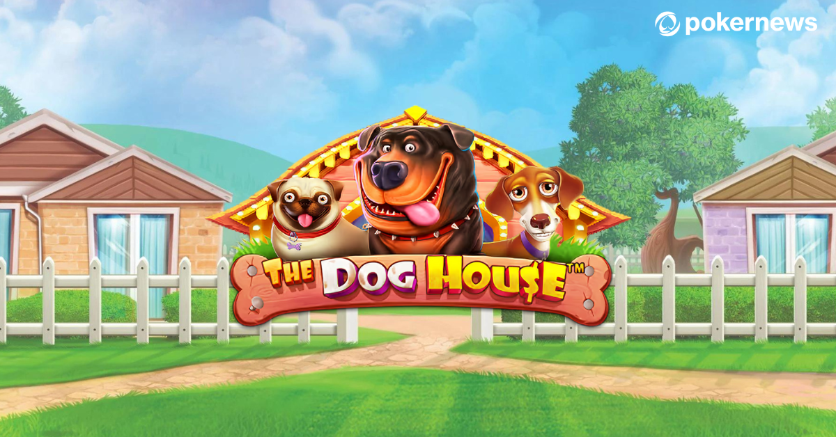 Слот The Dog House в казино Волна Казино